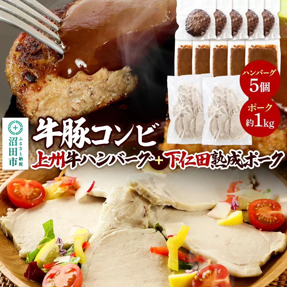 CAS印 牛豚コンビ 上州牛ハンバーグ5個×下仁田熟成ポーク約1kg 株式会社沼田魚菜市場仲卸