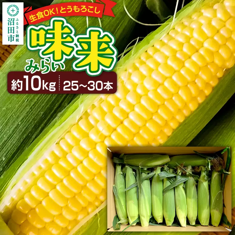 《7月中旬〜9月中旬発送》とうもろこし 味来 約10kg（25〜30本）