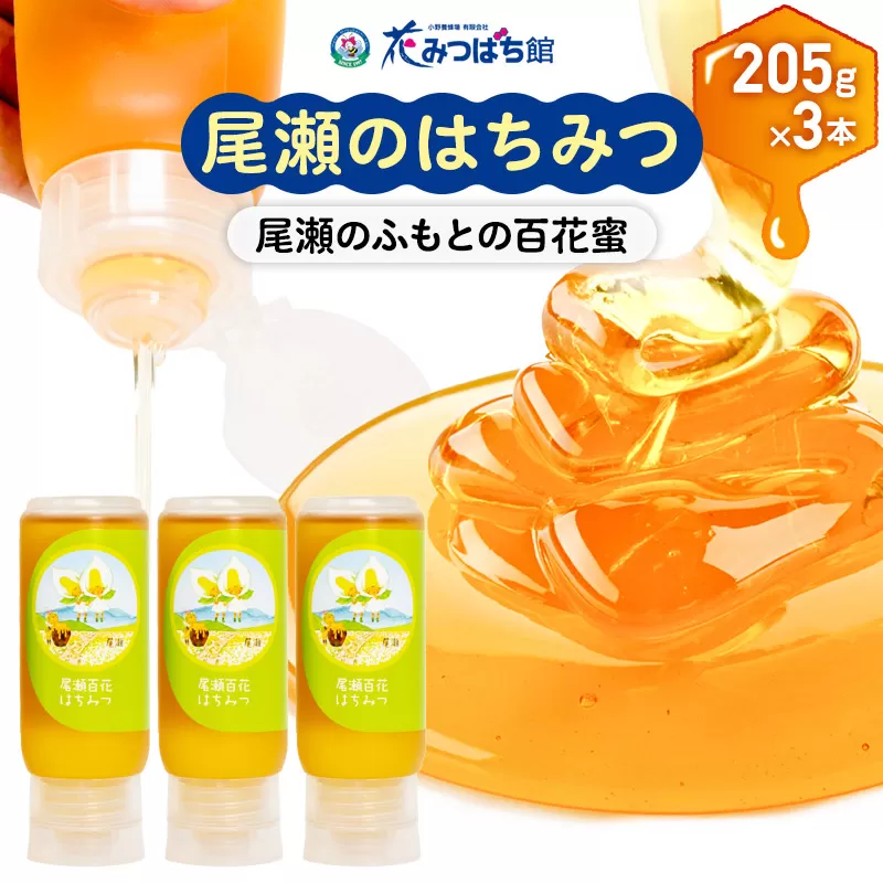 尾瀬のはちみつ（百花）205g×3本セット 花みつばち館 群馬県沼田市