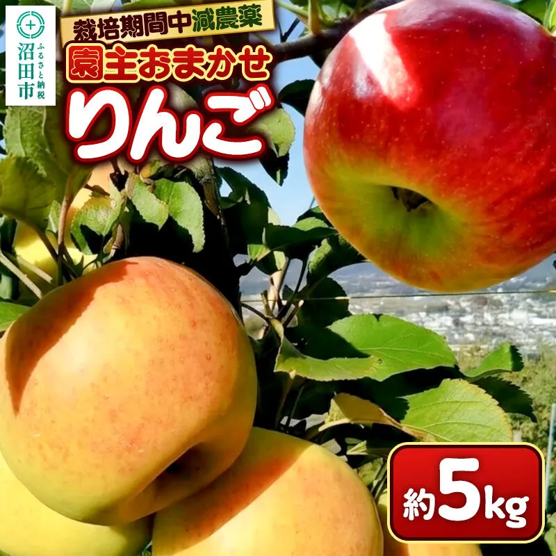 りんご 5kg 園主おまかせ 果樹園マンサーナ [林檎 りんご リンゴ 品種おまかせ] 群馬県沼田市