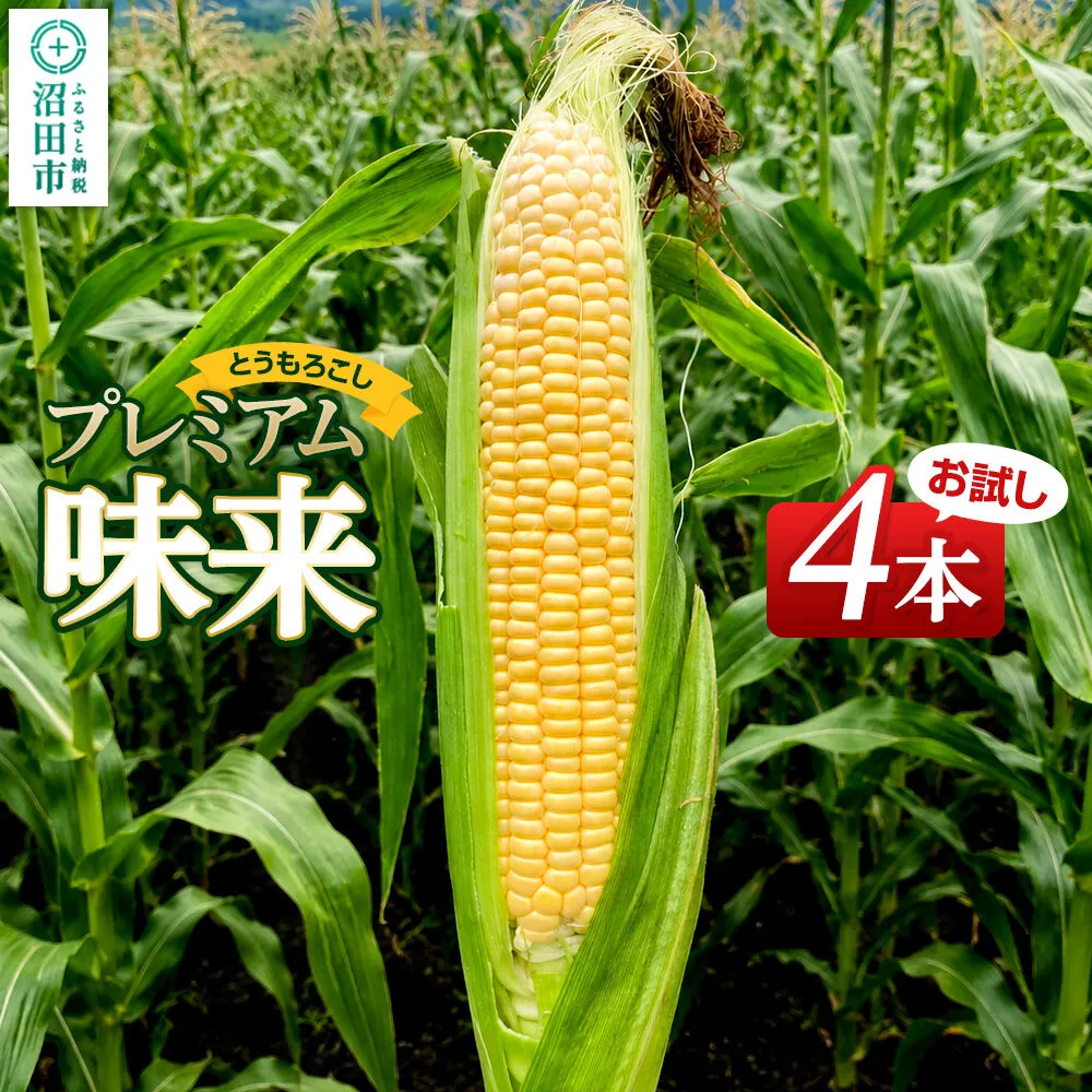 《7月下旬〜9月上旬発送》とうもろこし プレミアム味来 お試しセット（4本）山口いちご園 群馬県沼田市