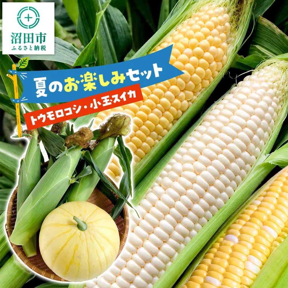 《7月下旬〜9月上旬発送》夏のお楽しみセット とうもろこし3本〜4本と小玉スイカ1個のセット [【野菜セット】トウモロコシ スイートコーン スウィートコーン 西瓜 すいか] 群馬県沼田市