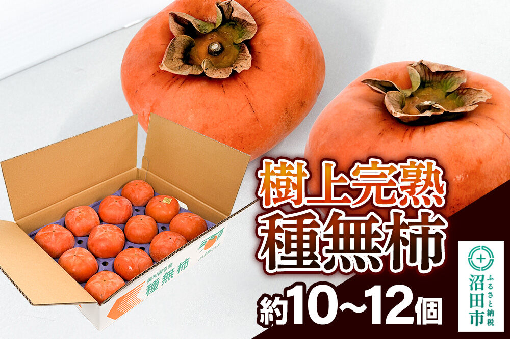 樹上完熟種無柿 1箱（約10〜12個） [柿 かき カキ 果物 フルーツ