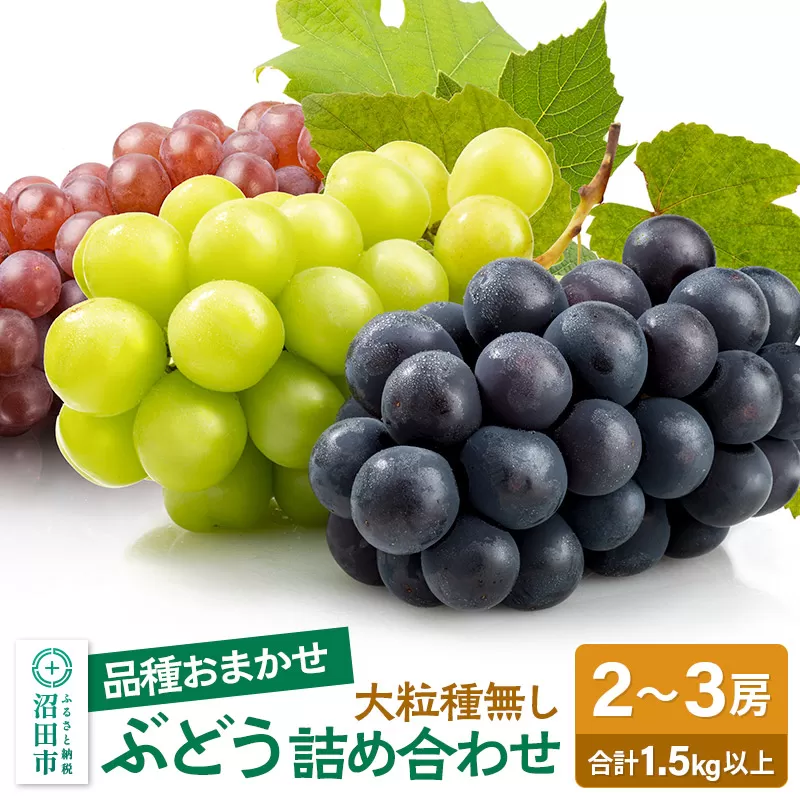 《9月上旬〜下旬発送》大粒種なしぶどう詰め合わせ 1.5kg以上（2〜3房）