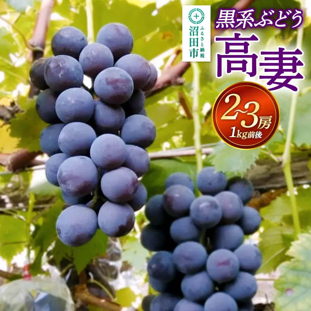 沼田市産 ぶどう 高妻 2〜3房（1kg前後） 沼田市