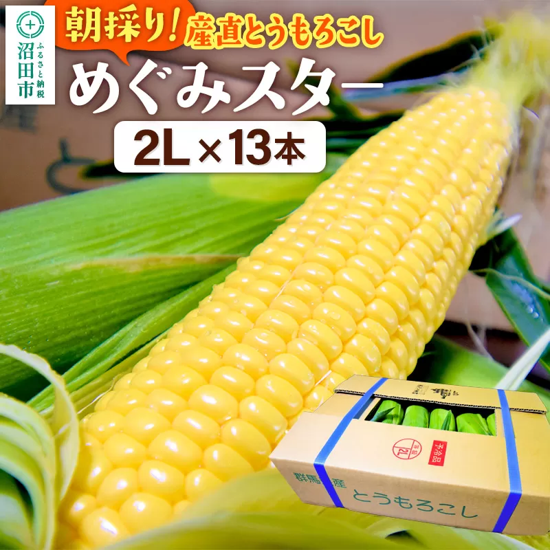 《8月上旬〜下旬発送》朝採りとうもろこし めぐみスター 2Lサイズ13本【群馬県沼田市利根町産】