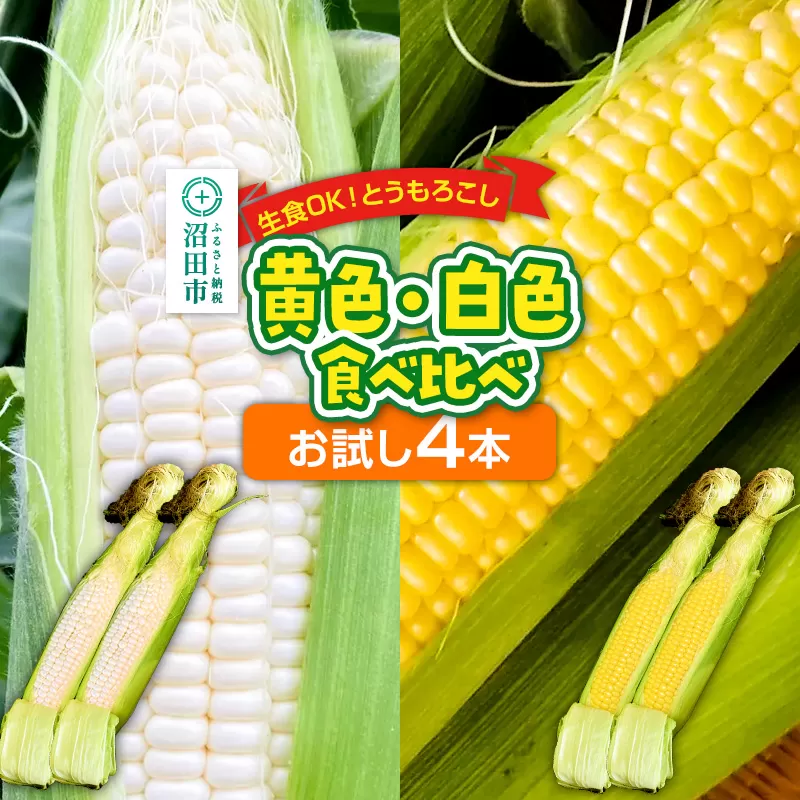 《7月下旬〜9月中旬発送》とうもろこし 味来・ピュアホワイト お試しセット（各2本／合計4本）
