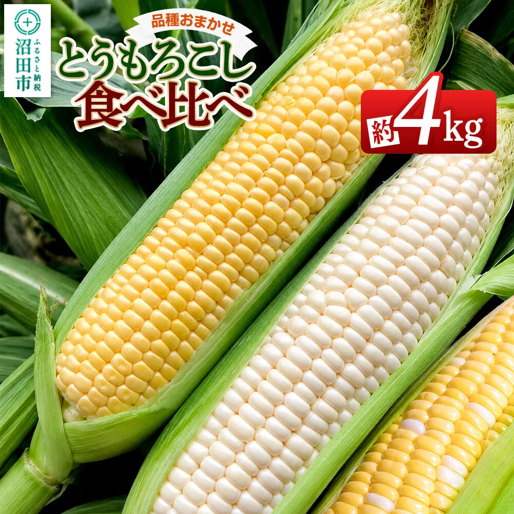 《7月下旬〜9月上旬発送》とうもろこし食べ比べ 約4kg（8〜12本）詰め合わせセット 山口いちご園 群馬県沼田市