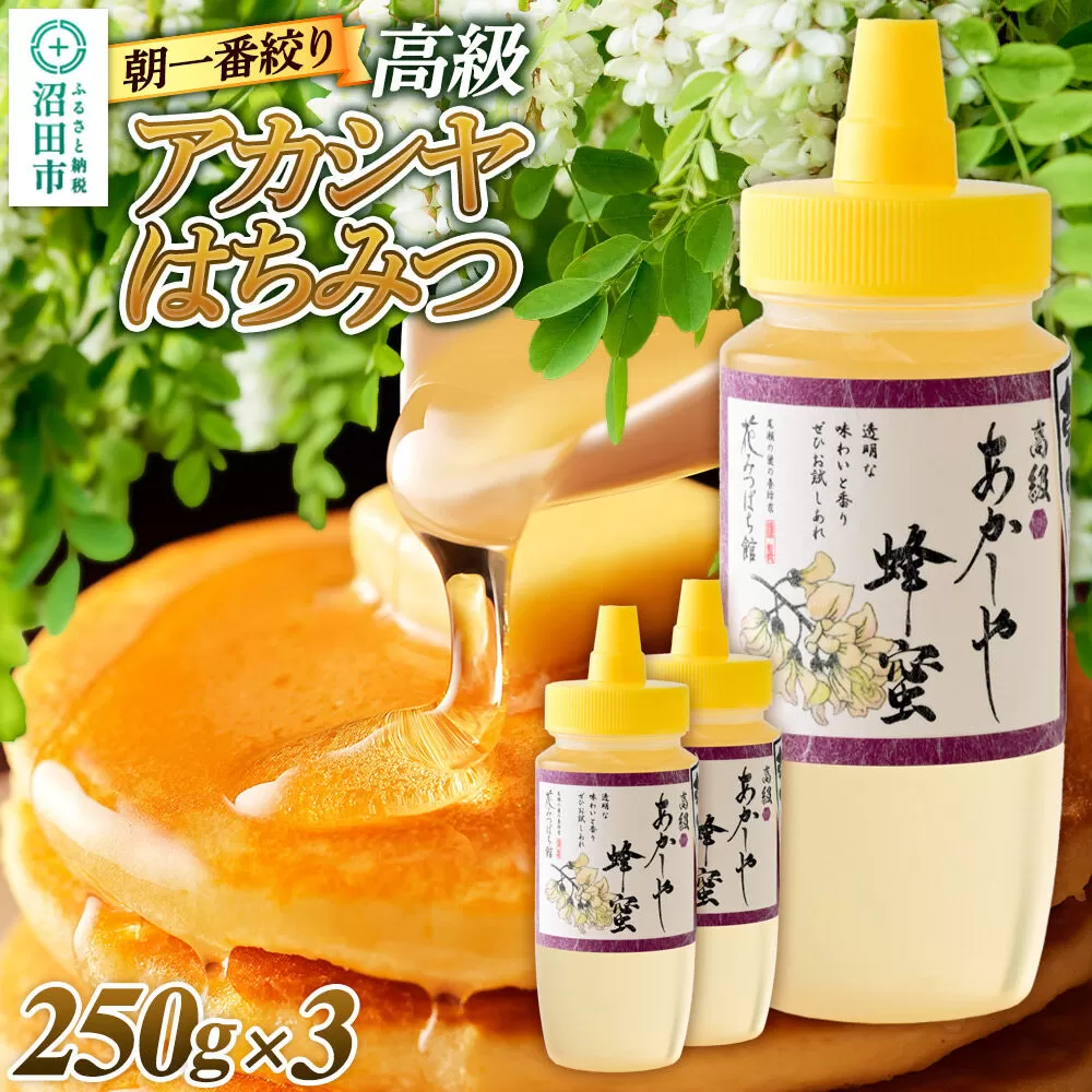 朝一番搾り！ 高級アカシヤはちみつ 250g×3本 花みつばち館 [蜂蜜 はちみつ ハチミツ 国産 高級] 群馬県沼田市