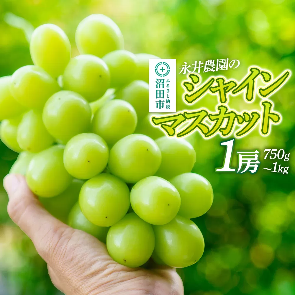 シャインマスカット 1房（750g〜1kg）永井農園