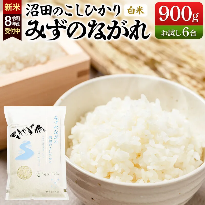 《令和8年産 新米予約》沼田のこしひかり「みずのながれ」お試し六合 900g 群馬県沼田市産 精米 白米 コシヒカリ [こしひかり コシヒカリ みずのながれ 白米 精米 新米 先行予約] 群馬県沼田市