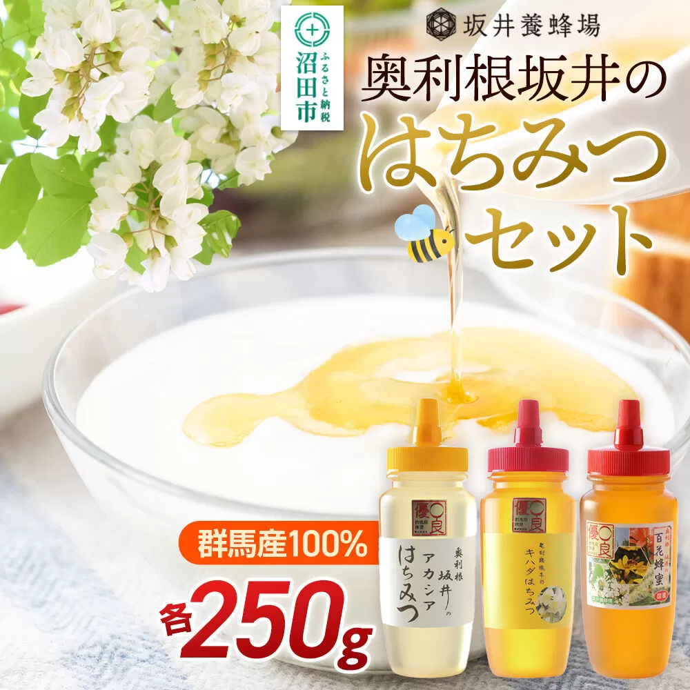奥利根坂井のはちみつセット（アカシア・百花・キハダ）各250g 坂井養蜂場 群馬県沼田市