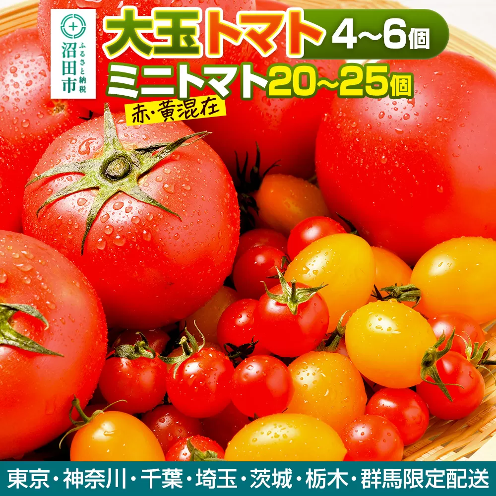 《関東発送限定》沼田市産 大玉トマト「れおん」4〜6個・ミニトマト20〜25個 詰め合わせ