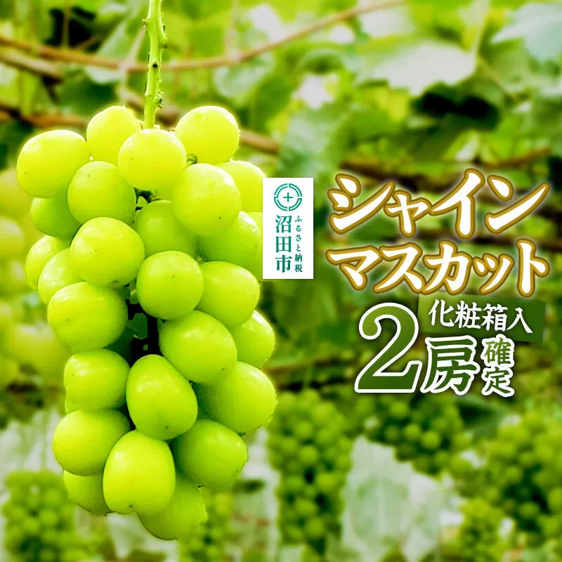 [2026年9月下旬〜10月上旬発送]先行予約 果実の里 原田農園 シャインマスカット 2房(計約1.0kg〜1.4kg)化粧箱入り [葡萄 ぶどう ブドウ しゃいんますかっと] 群馬県沼田市