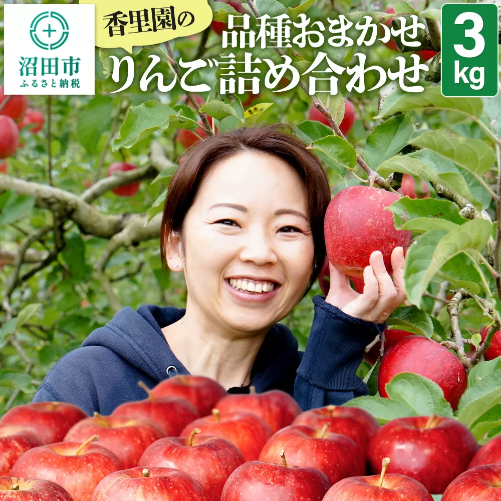 《10月上旬〜11月下旬発送》香里園の品種おまかせ りんご詰め合わせ 3kg 沼田市
