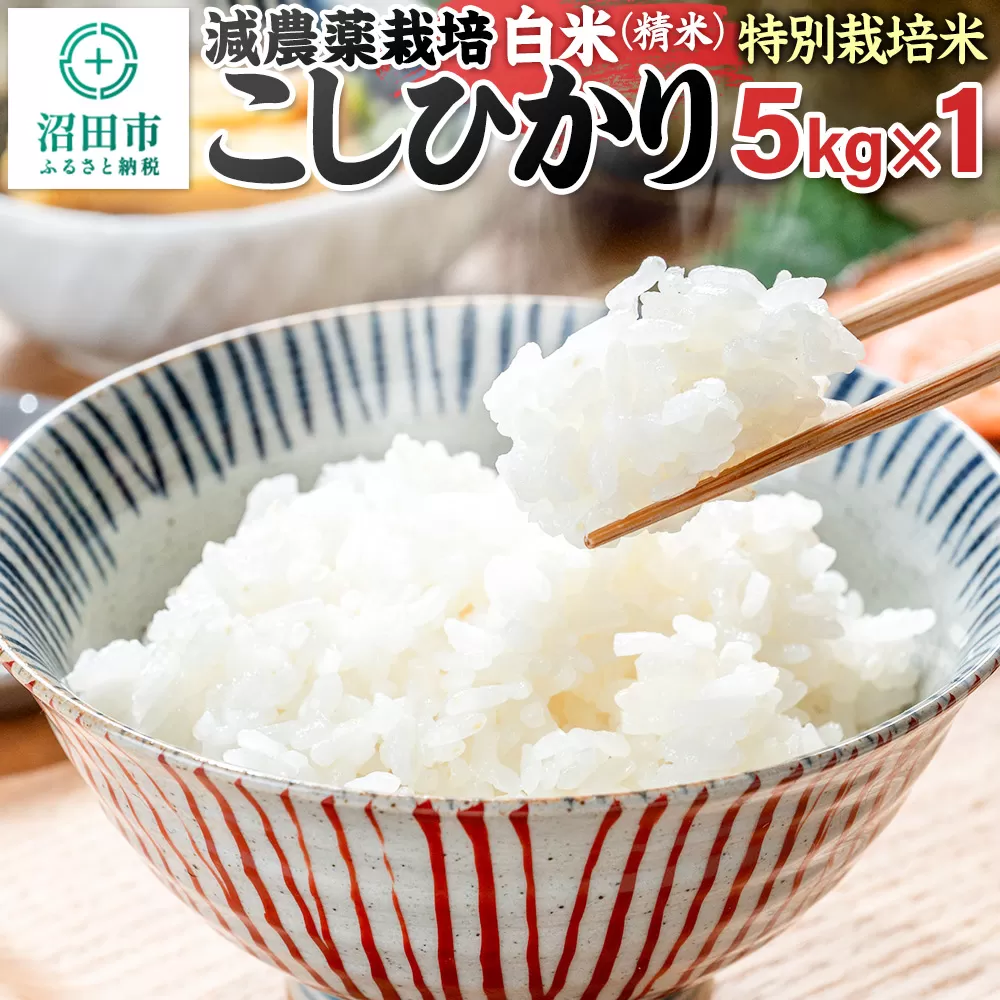 令和7年産 沼田市産 特別栽培米こしひかり 白米 5kg 奥利根自然菜園 群馬県沼田市