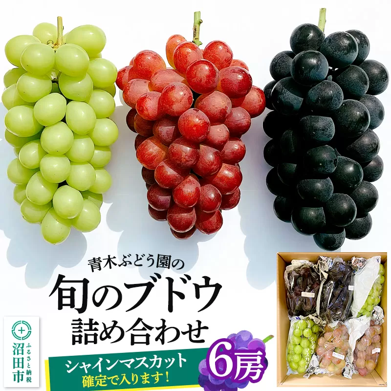 《9月上旬〜下旬発送》青木ぶどう園の旬のブドウ詰め合わせ 6房
