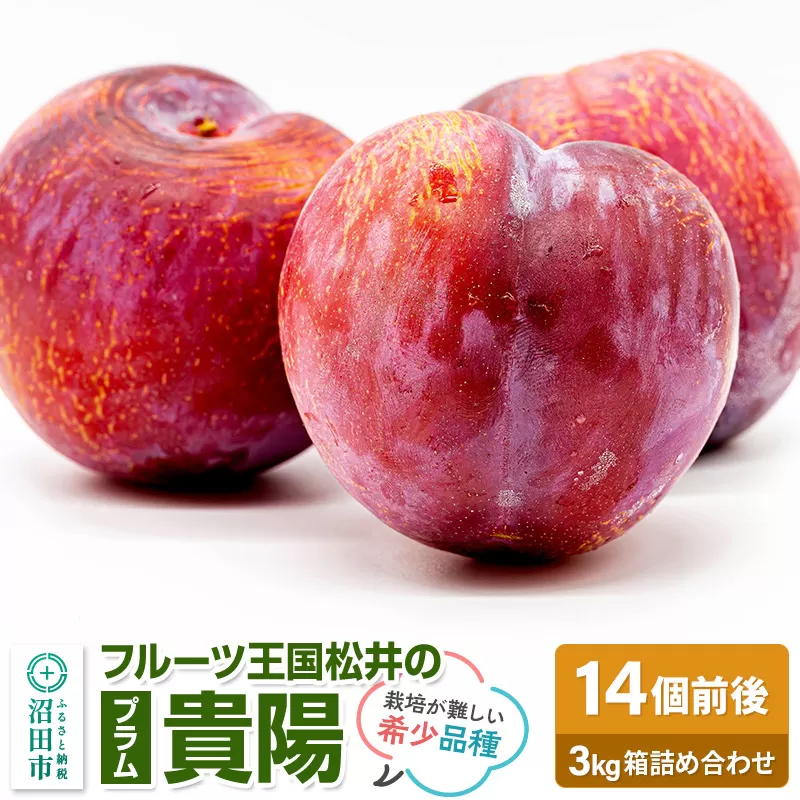 《8月上旬〜8月中旬発送》高級プラム「貴陽」3kg箱 フルーツ王国松井