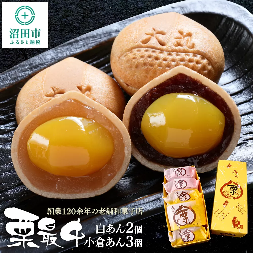 栗最中 2種 計5個 詰め合わせセット(白餡2個、小倉餡3個)大丸屋製菓 群馬県沼田市