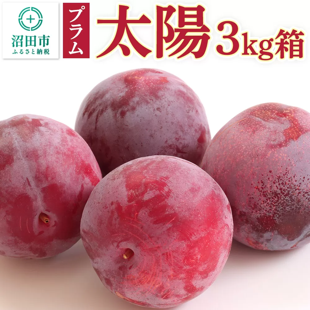 《8月中旬〜8月下旬発送》プラム「太陽」3kg箱