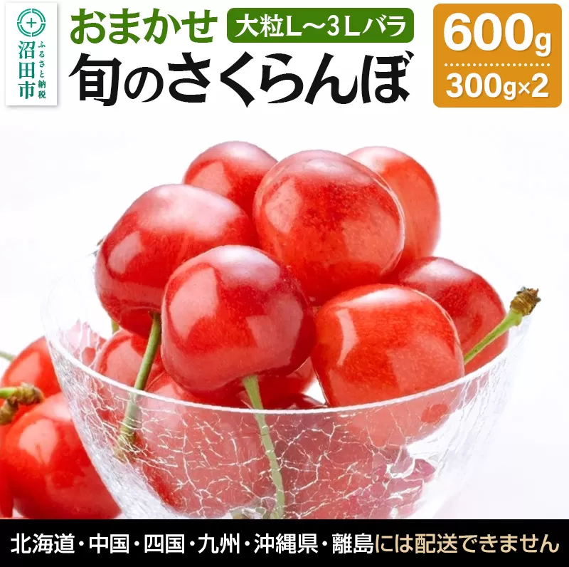 《一部地域限定発送》《6月中旬〜下旬発送》おまかせ 旬のさくらんぼ 大粒L〜3Lバラ詰め 600g（300g×2）