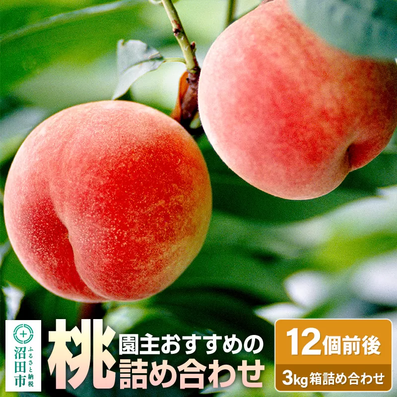《7月中旬〜7月下旬発送》園主おすすめの桃 3kg箱 詰め合わせ フルーツ王国松井