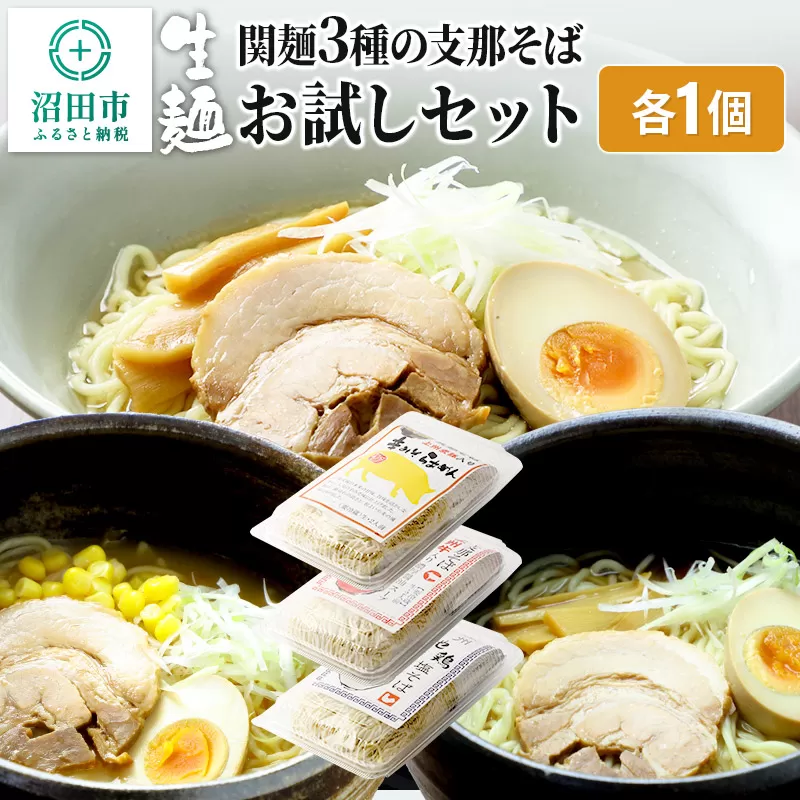 関麺 3種の支那そば お試しセット 各1個 味噌／醤油／塩