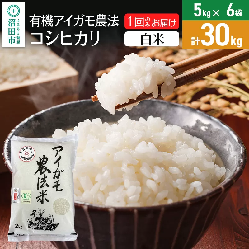 令和5年度産コシヒカリ玄米30kg 茨城県産 コシヒカリ 玄米 玄米30kg（精米