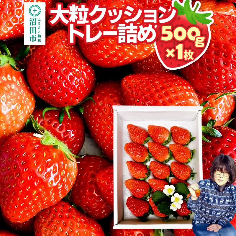 [2026年1月上旬〜2月上旬発送]大粒クッショントレー詰め「やよいひめ」500g×1枚 山口いちご園 苺 イチゴ いちご 群馬県沼田市