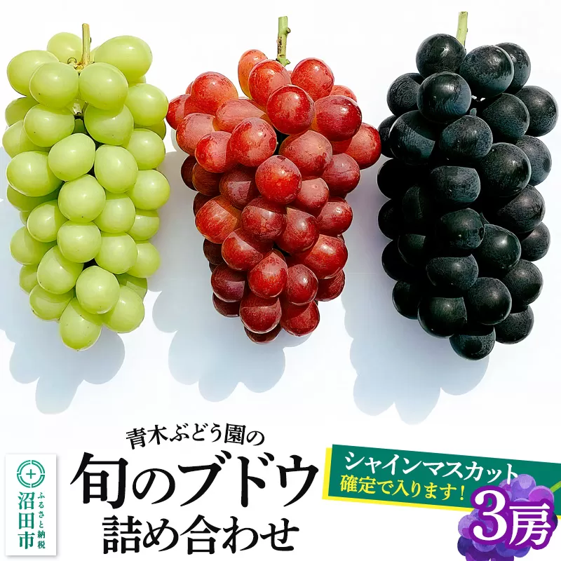 《9月上旬〜下旬発送》青木ぶどう園の旬のブドウ詰め合わせ 3房