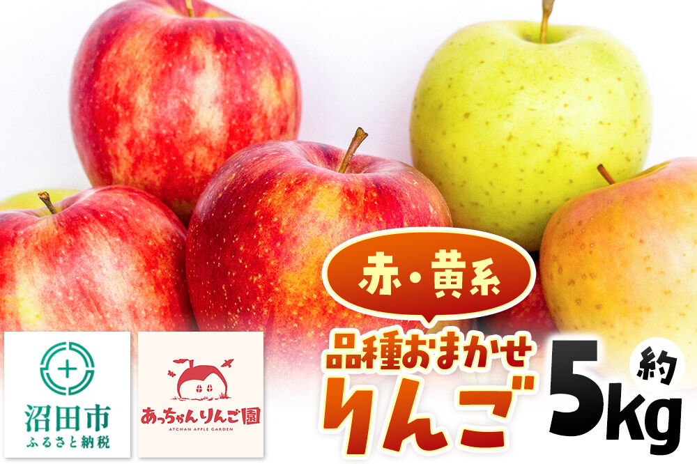 11月上旬〜下旬にお届け》品種おまかせ りんご 約5kg（13〜18個前後