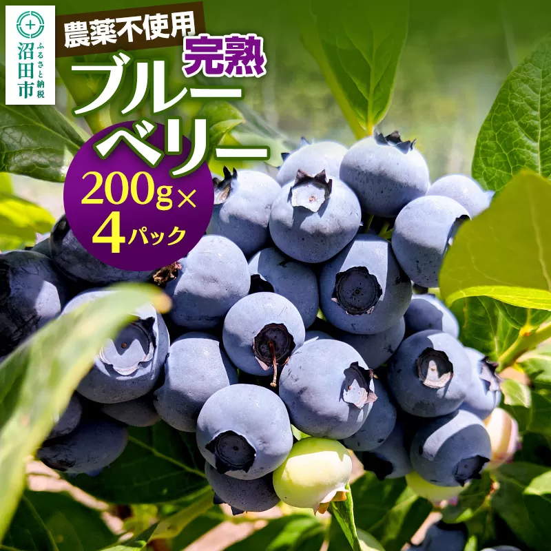 《7月上旬〜下旬発送》完全無農薬栽培 完熟ブルーベリー 200g×4パック