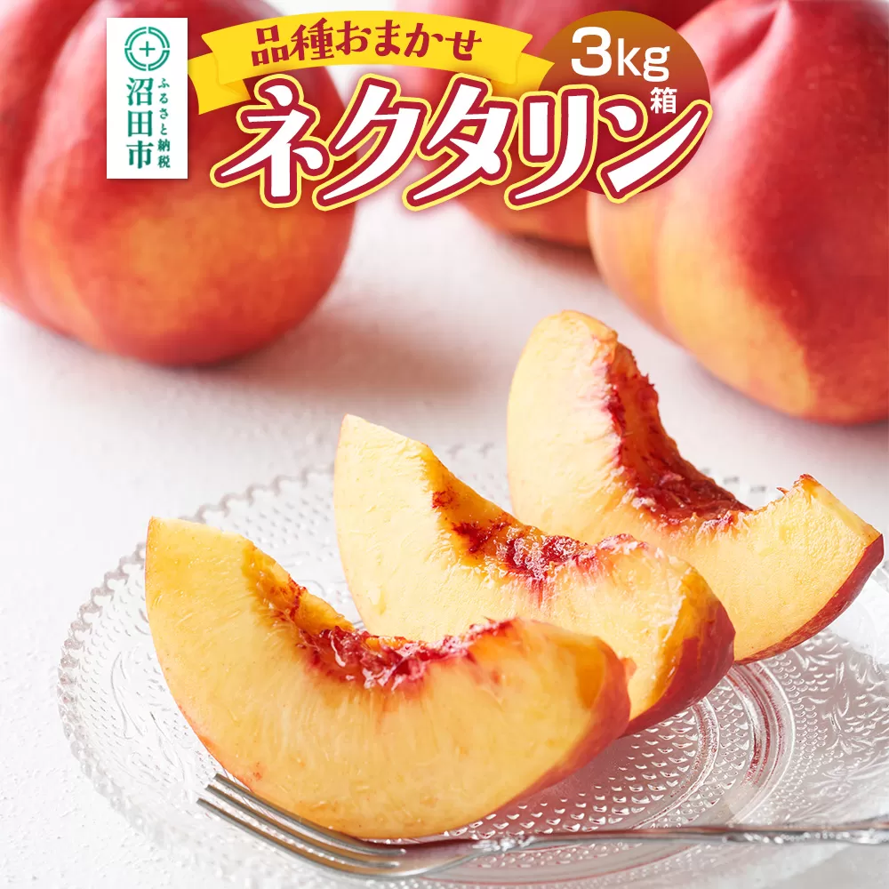 《7月上旬〜8月上旬発送》品種おまかせネクタリン 3kg箱