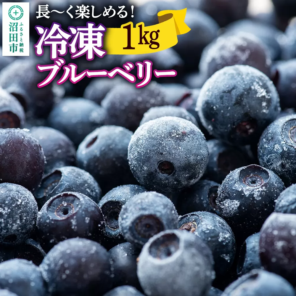 冷凍ブルーベリー1kg【群馬県沼田市利根町産】 群馬県沼田市