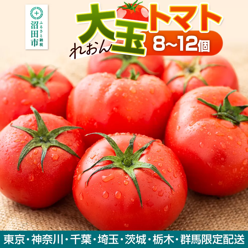 《関東発送限定》沼田市産 大玉トマト「れおん」8〜12個 詰め合わせ