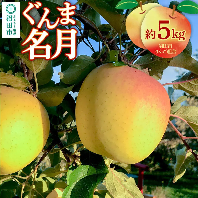 《11月中旬〜12月上旬発送》沼田市りんご組合 りんご（ぐんま名月）約5kg 群馬県沼田市 [林檎 りんご リンゴ ぐんま名月] 群馬県沼田市
