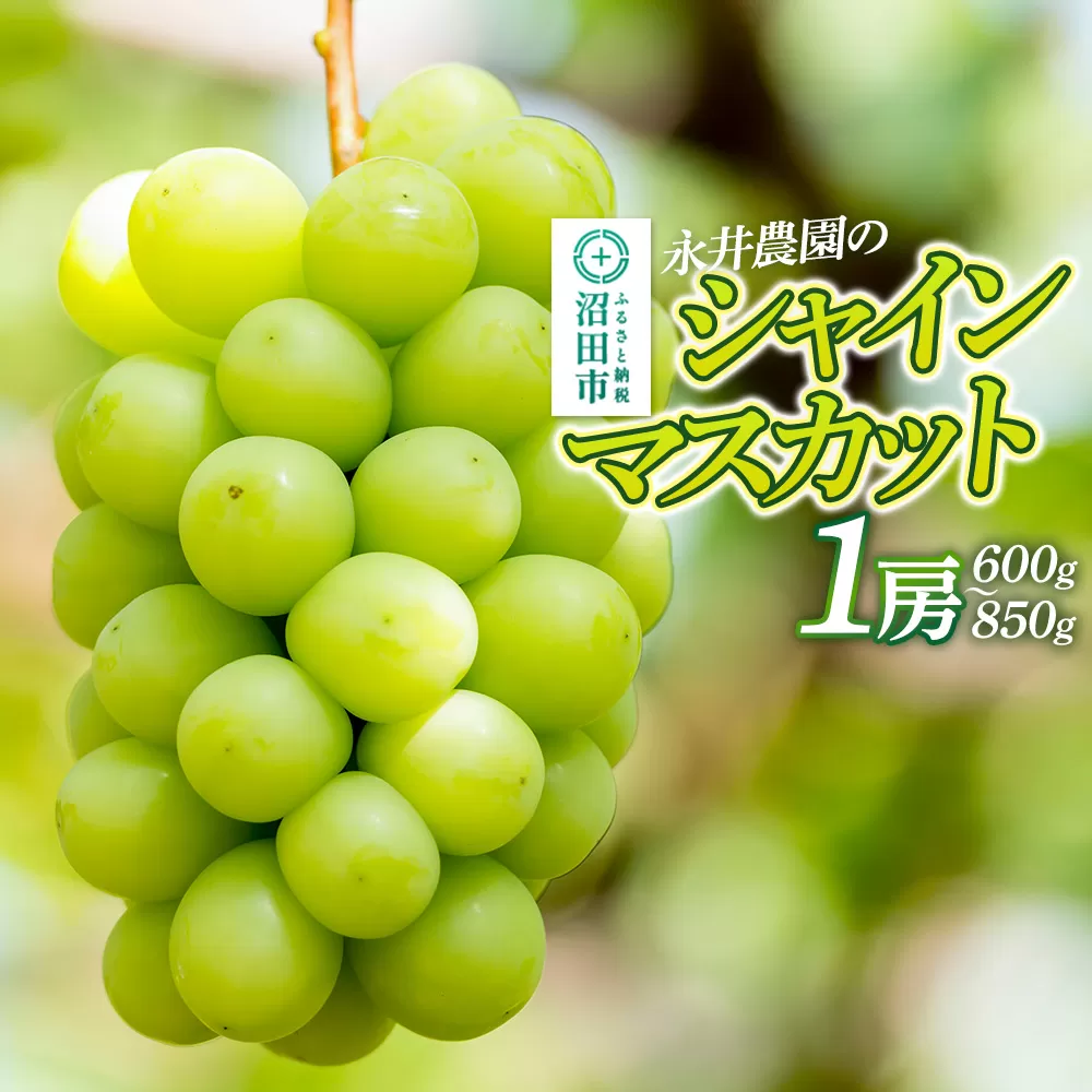 シャインマスカット 1房(600g〜850g)永井農園 群馬県沼田市