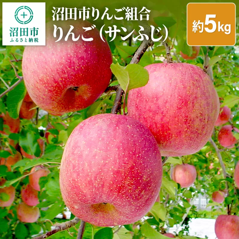 《12月上旬以降発送》沼田市りんご組合 りんご（サンふじ）約5kg 群馬県沼田市