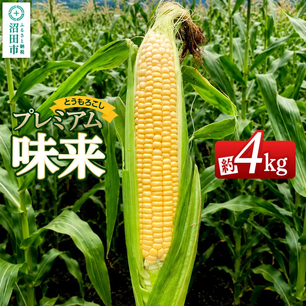 《7月下旬〜9月上旬発送》とうもろこし プレミアム味来 約4kg（8〜12本）山口いちご園 群馬県沼田市