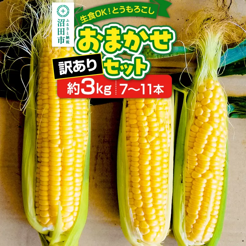 《7月下旬〜9月中旬発送》【訳あり】とうもろこし おまかせセット約3kg（7〜11本／品種の本数おまかせ）