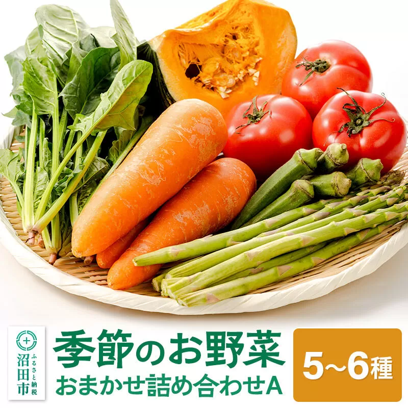 季節のお野菜 おまかせセット A（5〜6種類）詰め合わせ [【野菜セット】お任せ おまかせ 野菜 やさい ヤサイ 詰め合わせ セット] 群馬県沼田市