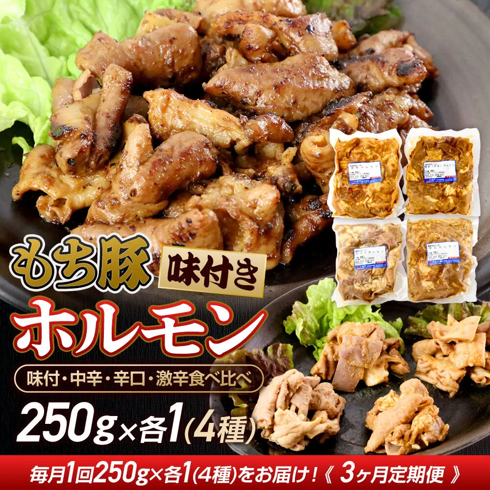 《定期便3ヶ月》 群馬県産 もち豚 ホルモン 4種 約1kg×3回 豚肉 沼田市 特産品 肉の長門 [モチ もち ブタ ぶた 肉 ほるもん バラエティ 食べ比べ 味比べ] 群馬県沼田市