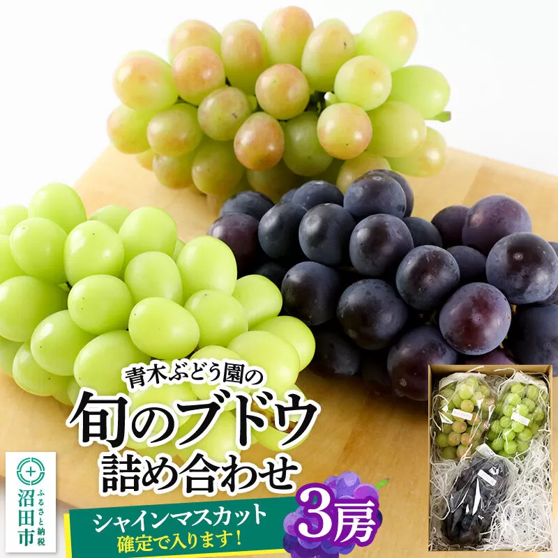 《9月上旬〜下旬発送》青木ぶどう園の旬のブドウ詰め合わせ 3房 [お任せ おまかせ 葡萄 ぶどう ブドウ 群馬県 沼田市 シャインマスカット フルーツ くだもの 果物 詰め合わせ] 群馬県沼田市