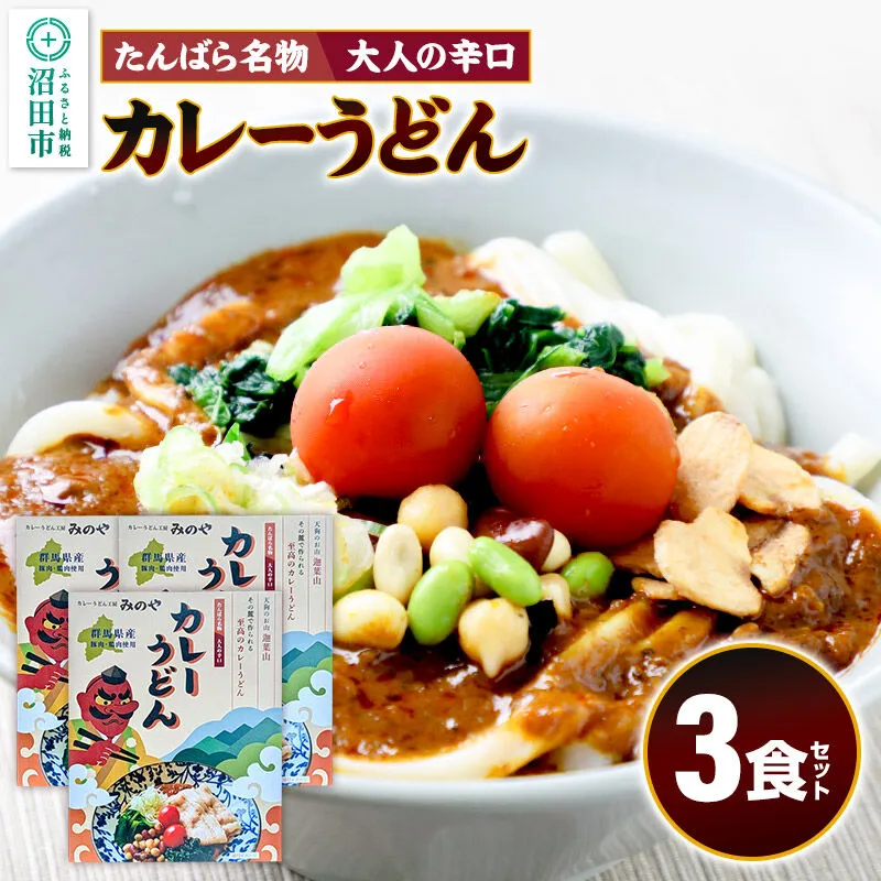 みのや 大人の辛口カレーうどん 3食セット ホットパック冷凍品 群馬県沼田市