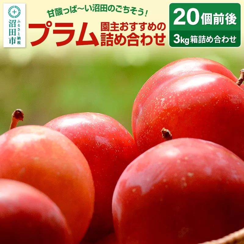 《7月上旬〜7月下旬発送》園主おすすめのプラム 3kg箱 詰め合わせ フルーツ王国松井