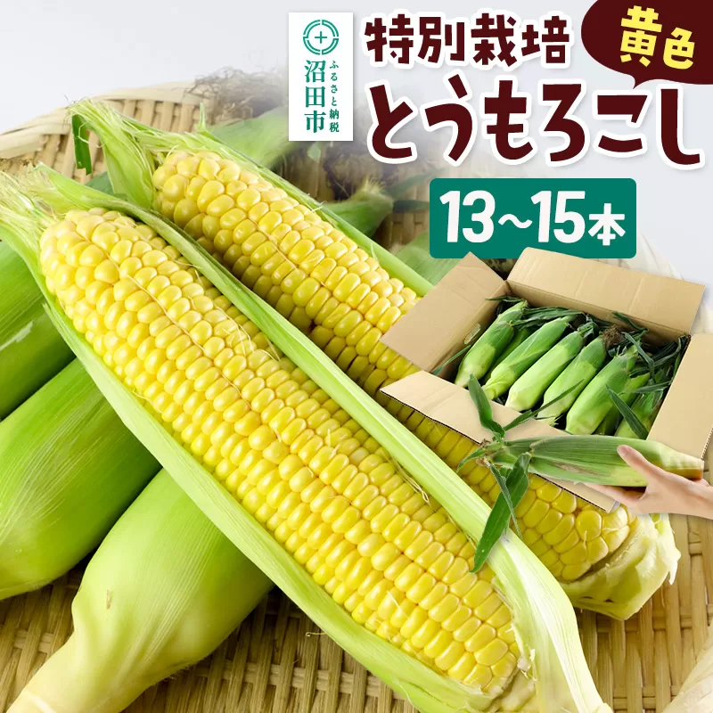 《7月下旬〜9月中旬発送》沼田市産 特別栽培のとうもろこし 13〜15本 黄色 ゴールドラッシュ