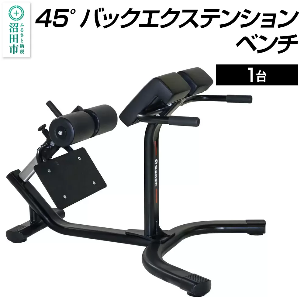 SS-G 45°バックエクステンションベンチ BN531000 トレーニング器具 筋トレ ホームジム ウエイト 株式会社セノテック 群馬県沼田市