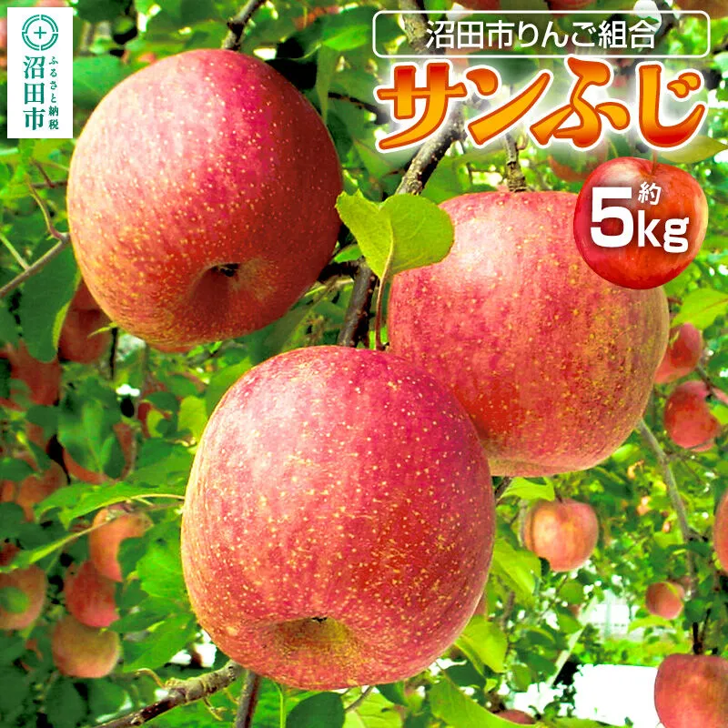 《12月下旬〜1月中旬発送》沼田市りんご組合 りんご（サンふじ）約5kg 群馬県沼田市 [林檎 りんご リンゴ サンふじ] 群馬県沼田市