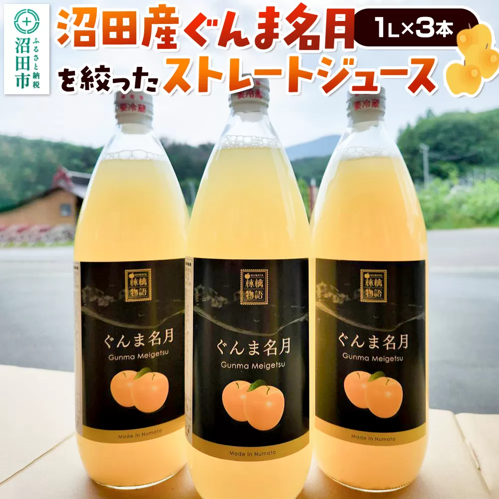沼田産ぐんま名月だけを搾ったストレートリンゴジュース 3本セット 真田りんご園