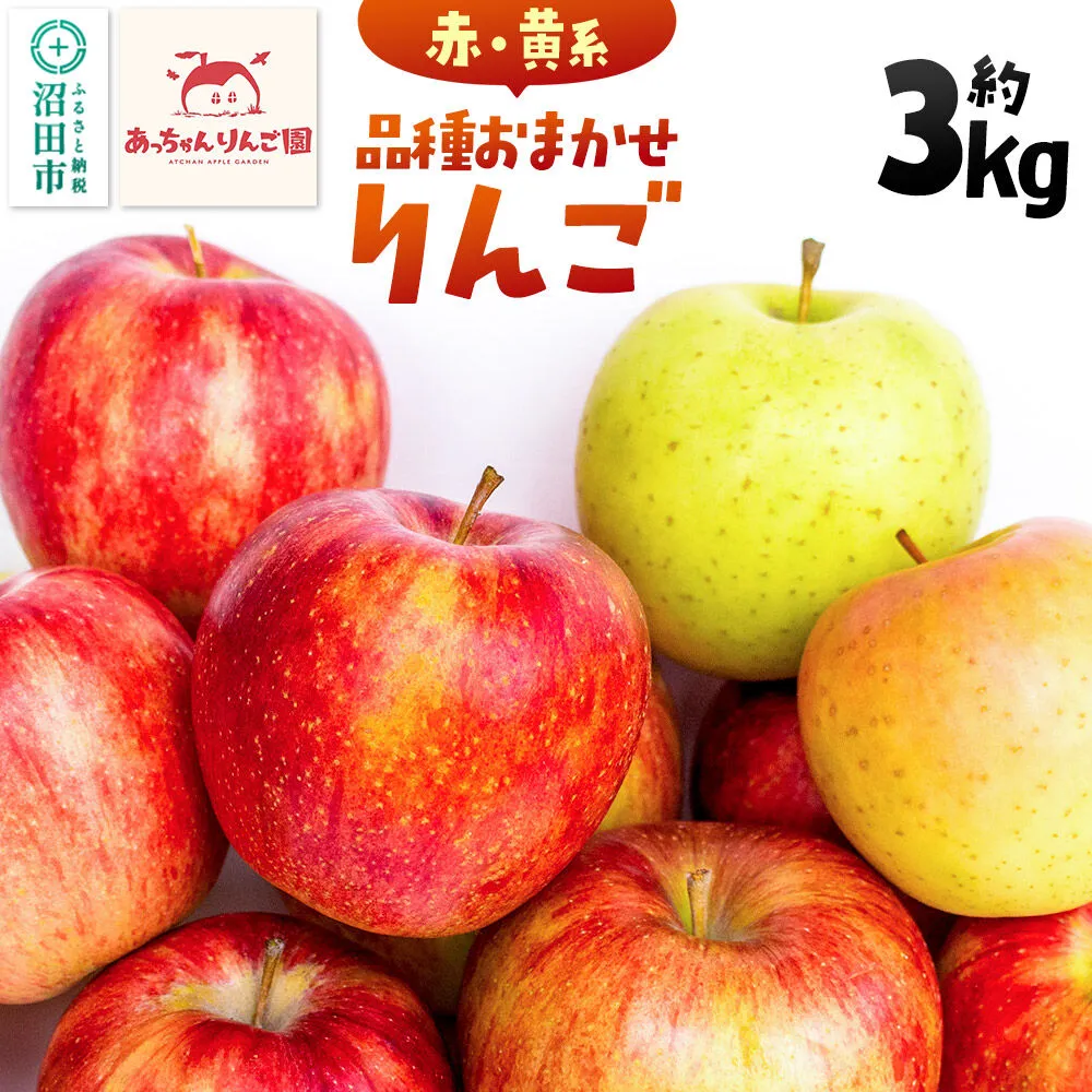 [11月上旬〜下旬にお届け]品種おまかせ りんご 約3kg(7〜10個前後)箱入り あっちゃんりんご園 [林檎 りんご リンゴ 3kg フルーツ 果物 くだもの 群馬県 沼田市] 群馬県沼田市